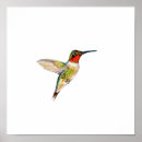 Recherche de dessin colibri art Oiseau