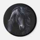 Zoek naar zwart paard magneten Equine