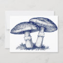 Recherche de illustration plume cartes postales Dessin