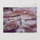 Recherche de calmar cartes postales Poisson