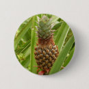 Zoek naar vruchten buttons Ananas