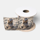 Recherche de en construction rubans Mignon