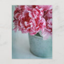 Recherche de pivoines cartes postales Printemps