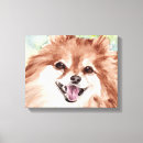Zoek naar pomeranian kunst Dieren