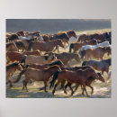 Recherche de mongolie posters Cheval