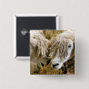 Zoek naar landbouw buttons Boerderijen