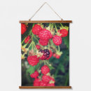 Recherche de blackberry art Plante