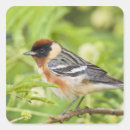Recherche de migration autocollants Oiseau