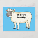 Zoek naar schapen briefkaarten Veestapel