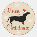 Recherche de noël de teckel autocollants Drôle