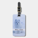Recherche de renard arctique accessoires Nature