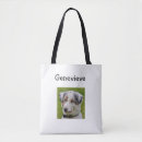 Recherche de copies sacs Chat