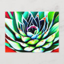 Recherche de agaves cartes postales Succulent