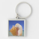 Zoek naar shells sleutelhangers Zeeschol