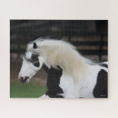 Recherche de gitans puzzles Cheval