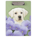 Recherche de labrador porte blocs Chiot