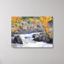 Recherche de potomac Grandes chutes