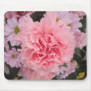 Recherche de oeillet tapis souris Floral