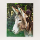 Zoek naar ezels puzzels Schattig