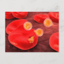 Recherche de globules rouges cartes postales Hémoglobine