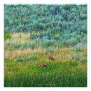 Recherche de colline art Herbe