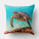 Recherche de animaux marins coussins Tortue de mer