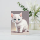 Recherche de le petit chat blanc cartes postales Chaton