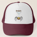 Recherche de araignée casquettes Insecte