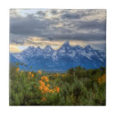 Recherche de teton grand carreaux Paysage