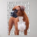 Recherche de de boxe posters Animal