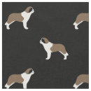 Recherche de bernards de saint Chien