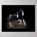 Recherche de occidentaux posters Cheval