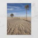 Recherche de désert du sahara cartes postales Tourisme