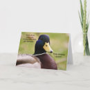 Zoek naar ducks kaarten Geel