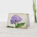 Zoek naar hydrangea hortensia kaarten Bloei