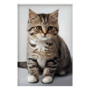 Recherche de perdu posters Design