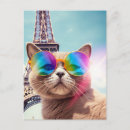 Recherche de chat paris cartes postales Chaton
