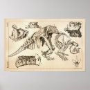 Recherche de fossile art Animal