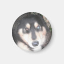 Recherche de dessous de verre magnets Bleu