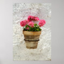 Recherche de géranium art Bouquet
