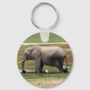 Recherche de l afrique du sud porteclés Éléphants