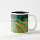 Recherche de vignoble tasses États unis