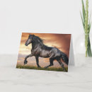 Zoek naar mooi paard kaarten Paarden