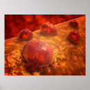 Recherche de immunologie posters Détail