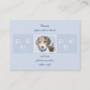 Recherche de chien beagle cartes visite Mignon
