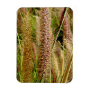 Recherche de macro magnets Nature