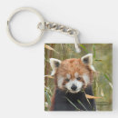 Zoek naar rode panda sleutelhangers Natuur