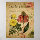 Recherche de botanique vintage posters Floral
