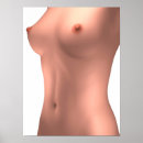 Recherche de image femelle Biologie