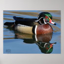 Zoek naar muismatten kunst Natuur